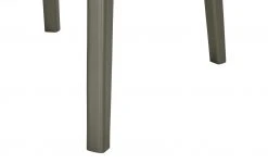 Berger & Rath Polsterstuhl Certo | Grün Londra (Hellgrau) Ja -SitzWerk Verkaufsgeschäft 14307266 6 202105181235