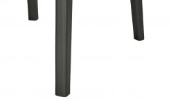 Berger & Rath Polsterstuhl Certo | Creme Anthrazit Ja -SitzWerk Verkaufsgeschäft 14307273 3 202105181235