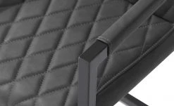 uno Kunstleder-Freischwinger Lisa | Grau Ja -SitzWerk Verkaufsgeschäft 14307714 3 202105031235