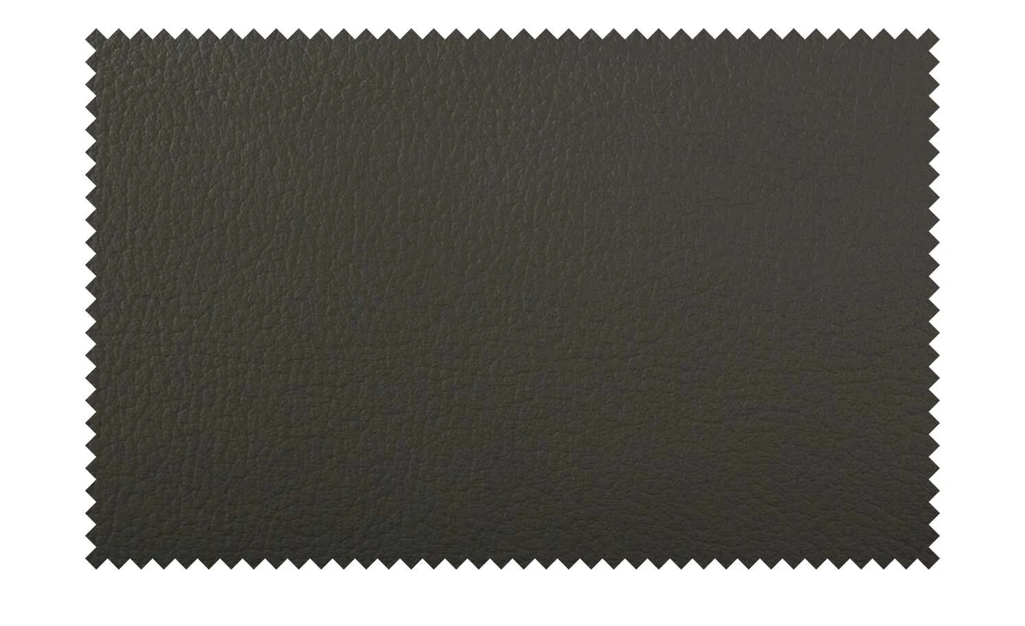 smart Lederstuhl Tamix 1 | Anthrazit 11 smart Lederstuhl Tamix 1 | Anthrazit – Bild 9