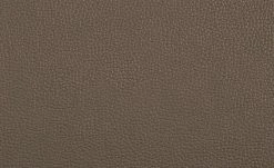 uno Freischwinger Letitia | Cappuccino Kunstleder 12 uno Freischwinger Letitia | Cappuccino Kunstleder -SitzWerk Verkaufsgeschäft 14307873 2 202102122236