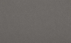 uno Freischwinger Letitia | Grau Kunstleder 14 uno Freischwinger Letitia | Grau Kunstleder -SitzWerk Verkaufsgeschäft 14307874 5 202101262258