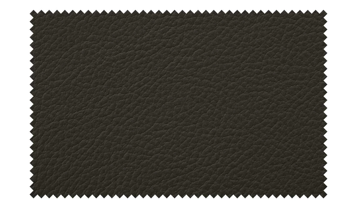 Woodford Leder-Polsterstuhl Marion | Dunkelbraun 8 Woodford Leder-Polsterstuhl Marion | Dunkelbraun – Bild 6