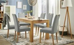 Woodford Polsterstuhl mit Griff Gabi 4 | Shark Skin (Hellgrau) Eiche Bianco