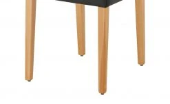 Leder-Polsterstuhl Canto III | Schoko (Braun) -SitzWerk Verkaufsgeschäft 14308022 3 202011112249