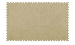 Wohnwert Polsterstuhl Tasso | Beige Nein 13 Wohnwert Polsterstuhl Tasso | Beige Nein -SitzWerk Verkaufsgeschäft 14308592 4 202102261257