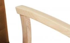 Wohnwert Polsterstuhl Tasso | Terra (Braun-Orange) Ja -SitzWerk Verkaufsgeschäft 14308594 6 202102261258