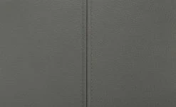 uno Leder-Freischwinger Sophia | Grau -SitzWerk Verkaufsgeschäft 14309015 9 202110071235