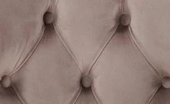 Collection by citamaass Armlehnstuhl Felicita | Rosé -SitzWerk Verkaufsgeschäft 14309553 5 202201051329