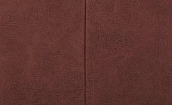 Kufenstuhl mit Griff | Bordeaux -SitzWerk Verkaufsgeschäft 14309580 1 202107301302