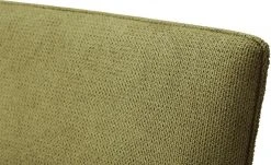 Wohnwert Armlehn-Polsterstuhl Aron | Grün -SitzWerk Verkaufsgeschäft 14309721 4 202107212232