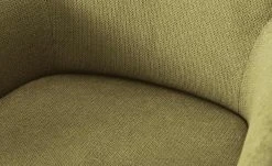 Wohnwert Armlehn-Polsterstuhl Aron | Grün -SitzWerk Verkaufsgeschäft 14309721 7 202107212232