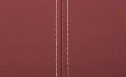 Woodford Kunstleder-Schwingstuhl Tessa | Cherry (Rot) Nein -SitzWerk Verkaufsgeschäft 15300175 4 202108031301