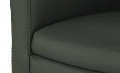 Wohnwert Leder-Schalenstuhl Jalto | Verde (Dunkelgrün) Nein -SitzWerk Verkaufsgeschäft 15301192 10 202107021243