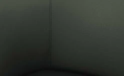 Wohnwert Leder-Schalenstuhl Jalto | Verde (Dunkelgrün) Nein -SitzWerk Verkaufsgeschäft 15301192 4 202107021243