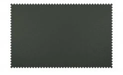 Wohnwert Leder-Schalenstuhl Jalto | Verde (Dunkelgrün) Nein -SitzWerk Verkaufsgeschäft 15301192 6 202107021243