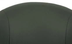 Wohnwert Leder-Schalenstuhl Jalto | Verde (Dunkelgrün) Nein -SitzWerk Verkaufsgeschäft 15301192 9 202107021243