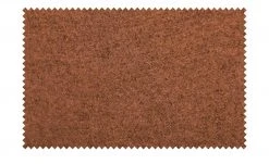 KOINOR Armlehnstuhl Leder Schwof | Fire (Cognac) / Cognac Nein -SitzWerk Verkaufsgeschäft 15302516 9 202109101235