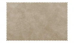 Woodford Polsterstuhl mit Armlehne Bristol | Sand (Beige) Eiche Nein -SitzWerk Verkaufsgeschäft 15303910 4 202203211234