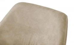 Woodford Polsterstuhl mit Armlehne Berlin | Sand (Beige) Schwarz Ja -SitzWerk Verkaufsgeschäft 15303956 5 202203182232