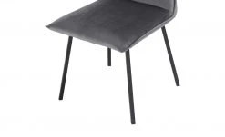 Connubia Polsterstuhl Maya | Asche (Grau) -SitzWerk Verkaufsgeschäft 15304570 9 202112071238