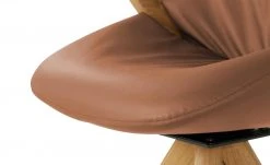 Wohnwert Armlehnstuhl Novum | Cognac mit Elastic-Aktiv-Federung (gesundes Sitzen) -SitzWerk Verkaufsgeschäft 15304634 2 202112221257