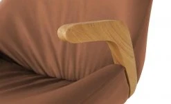 Wohnwert Armlehnstuhl Novum | Cognac mit Elastic-Aktiv-Federung (gesundes Sitzen) -SitzWerk Verkaufsgeschäft 15304634 3 202112221257