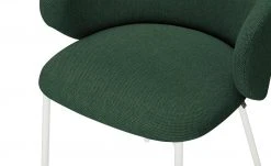 Connubia Polsterstuhl Tuka | Waldgrün -SitzWerk Verkaufsgeschäft 15304704 7 202201132233