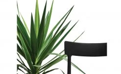 Connubia Stuhl stapelbar Argo | Schwarz 9 Connubia Stuhl stapelbar Argo | Schwarz -SitzWerk Verkaufsgeschäft 15304861 2 202111121257