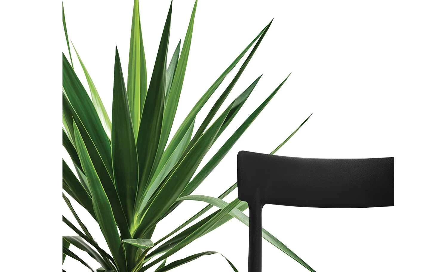 Connubia Stuhl stapelbar Argo | Schwarz 5 Connubia Stuhl stapelbar Argo | Schwarz – Bild 3