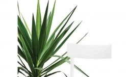 Connubia Stuhl stapelbar Argo | Schneeweiß -SitzWerk Verkaufsgeschäft 15304862 4 202111121257