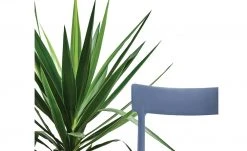 Connubia Stuhl stapelbar Argo | Sky Blue (Blau) -SitzWerk Verkaufsgeschäft 15304863 3 202111121256