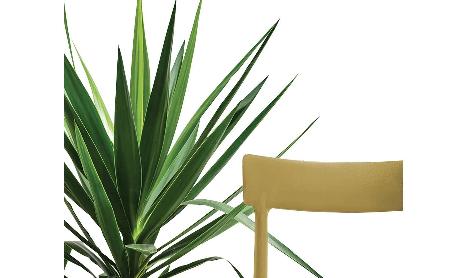 Connubia Stuhl stapelbar Argo | Senfgelb 5 Connubia Stuhl stapelbar Argo | Senfgelb – Bild 3