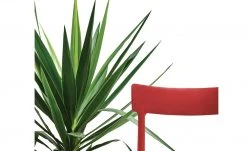 Connubia Stuhl stapelbar Argo | Rot 9 Connubia Stuhl stapelbar Argo | Rot -SitzWerk Verkaufsgeschäft 15304867 3 202111121257