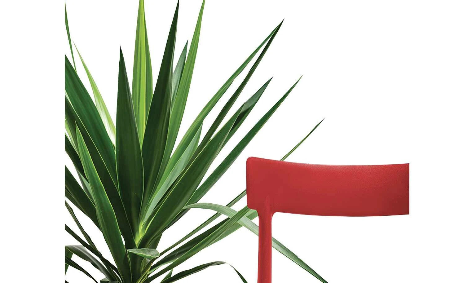 Connubia Stuhl stapelbar Argo | Rot 5 Connubia Stuhl stapelbar Argo | Rot – Bild 3