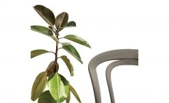 Connubia Stuhl stapelbar Caffe | Taubengrau -SitzWerk Verkaufsgeschäft 15304872 2 202111152233