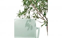 Connubia Stuhl stapelbar Bayo | Thymian (Hellgrün) Ja -SitzWerk Verkaufsgeschäft 15304886 4 202111152233