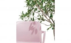 Connubia Stuhl stapelbar Bayo | Altrosa Ja -SitzWerk Verkaufsgeschäft 15304887 4 202111152233