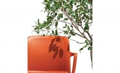 Connubia Stuhl stapelbar Bayo | Safran (Orange) Ja -SitzWerk Verkaufsgeschäft 15304888 3 202111152233