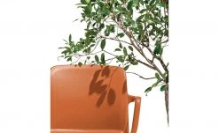 Connubia Stuhl stapelbar Bayo | Safran (Orange) Ja -SitzWerk Verkaufsgeschäft 15304888 4 202111152233