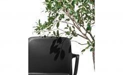 Connubia Stuhl stapelbar Bayo | Schwarz Ja -SitzWerk Verkaufsgeschäft 15304890 2 202111152233