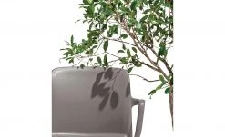 Connubia Stuhl stapelbar Bayo | Taubengrau Ja 13 Connubia Stuhl stapelbar Bayo | Taubengrau Ja -SitzWerk Verkaufsgeschäft 15304892 5 202111152233