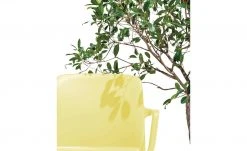 Connubia Stuhl stapelbar Bayo | Zitronengelb Ja -SitzWerk Verkaufsgeschäft 15304893 3 202111152233