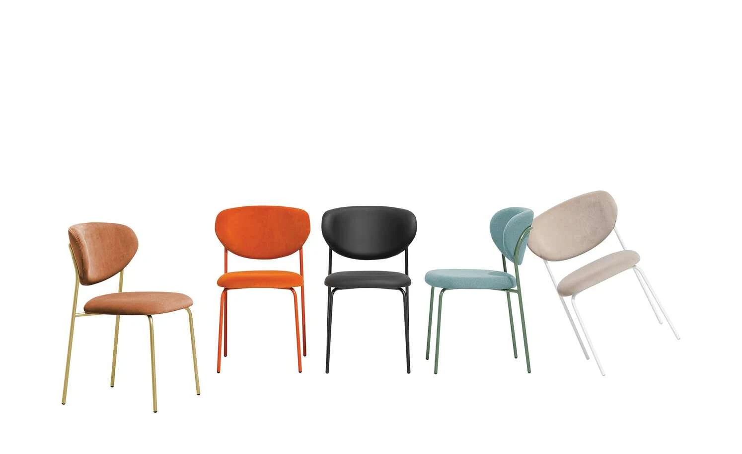 Connubia Polsterstuhl Cozy | Thymian (Blau) / Waldgrün 3 Connubia Polsterstuhl Cozy | Thymian (Blau) / Waldgrün