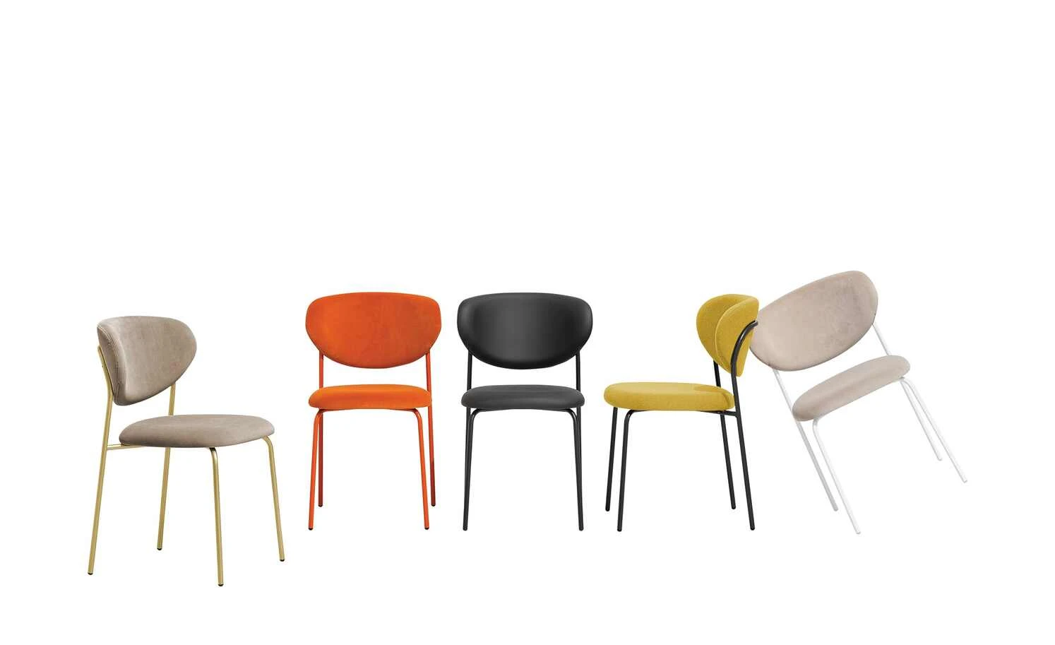 Connubia Polsterstuhl Cozy | Zitronengelb / Schwarz 3 Connubia Polsterstuhl Cozy | Zitronengelb / Schwarz