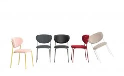 Connubia Polsterstuhl Cozy | Taubengrau / Grau