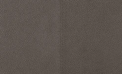 Wohnwert Polsterstuhl Botho | Nuss (Braun) Federkern -SitzWerk Verkaufsgeschäft 15305864 3 202209212234