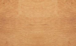 Dine + Mine Polsterstuhl Nador | Cappuccino (Braun) Akazie (Nachbildung) Nein 16 Dine + Mine Polsterstuhl Nador | Cappuccino (Braun) Akazie (Nachbildung) Nein -SitzWerk Verkaufsgeschäft 15306719 4 202207081237