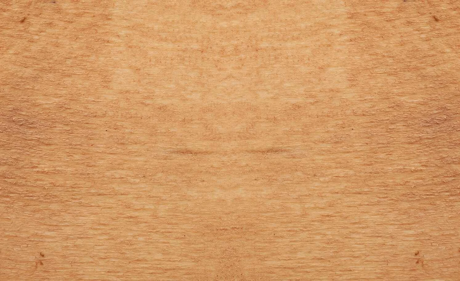 Dine + Mine Polsterstuhl Nador | Cappuccino (Braun) Akazie (Nachbildung) Nein 6 Dine + Mine Polsterstuhl Nador | Cappuccino (Braun) Akazie (Nachbildung) Nein – Bild 4