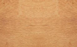 Dine + Mine Polsterstuhl Xalapa | Nachtblau Akaziefarbig Nein -SitzWerk Verkaufsgeschäft 15307032 9 202205251237